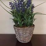 Tziapartment In Downtown Chania